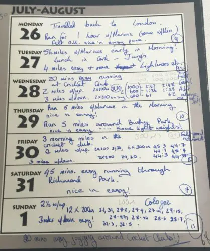 osullivan diary 2 1993