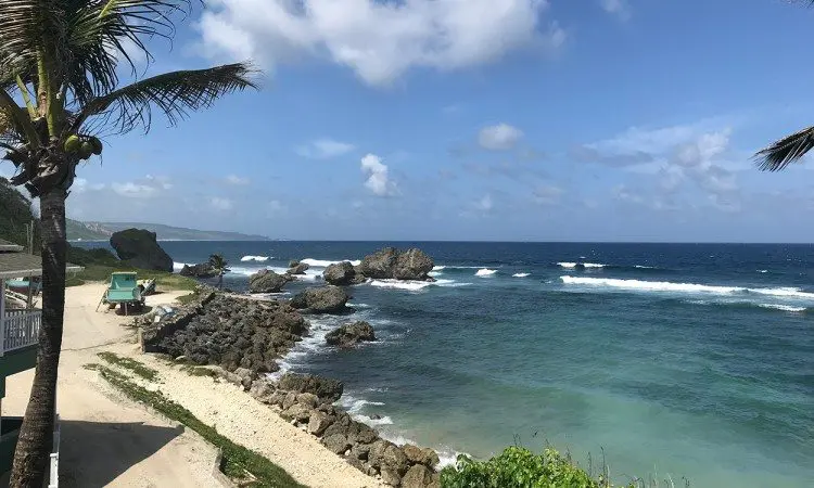 View-from-lunch-at-Atlantis-Hotel