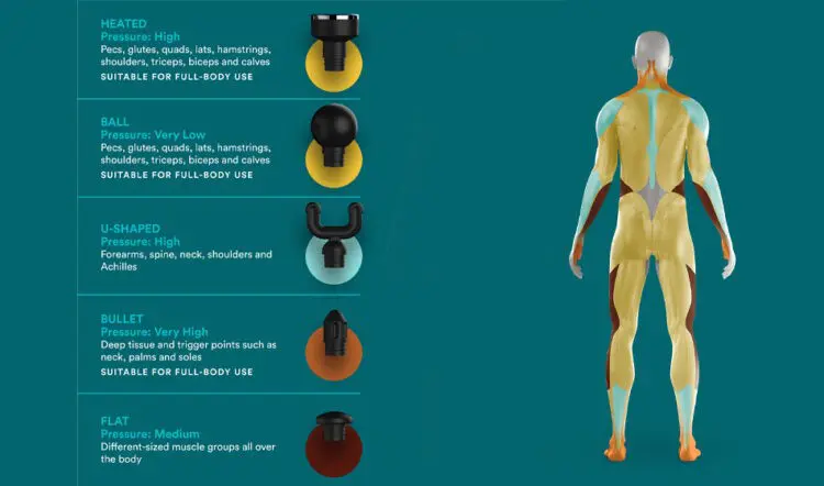 homedics body map