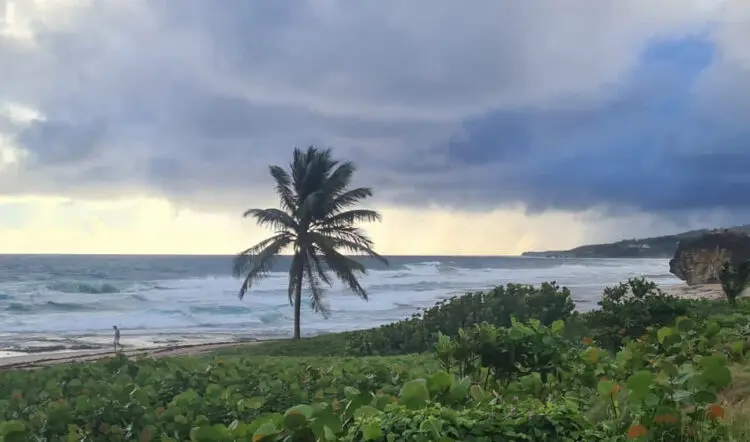 Barbados Caribbean running destination