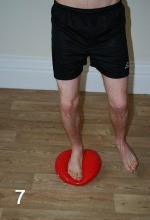 Pic 7 Wobble cushion