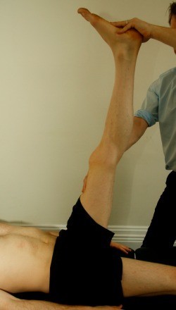 A simple contraction test using different levels of knee flexion