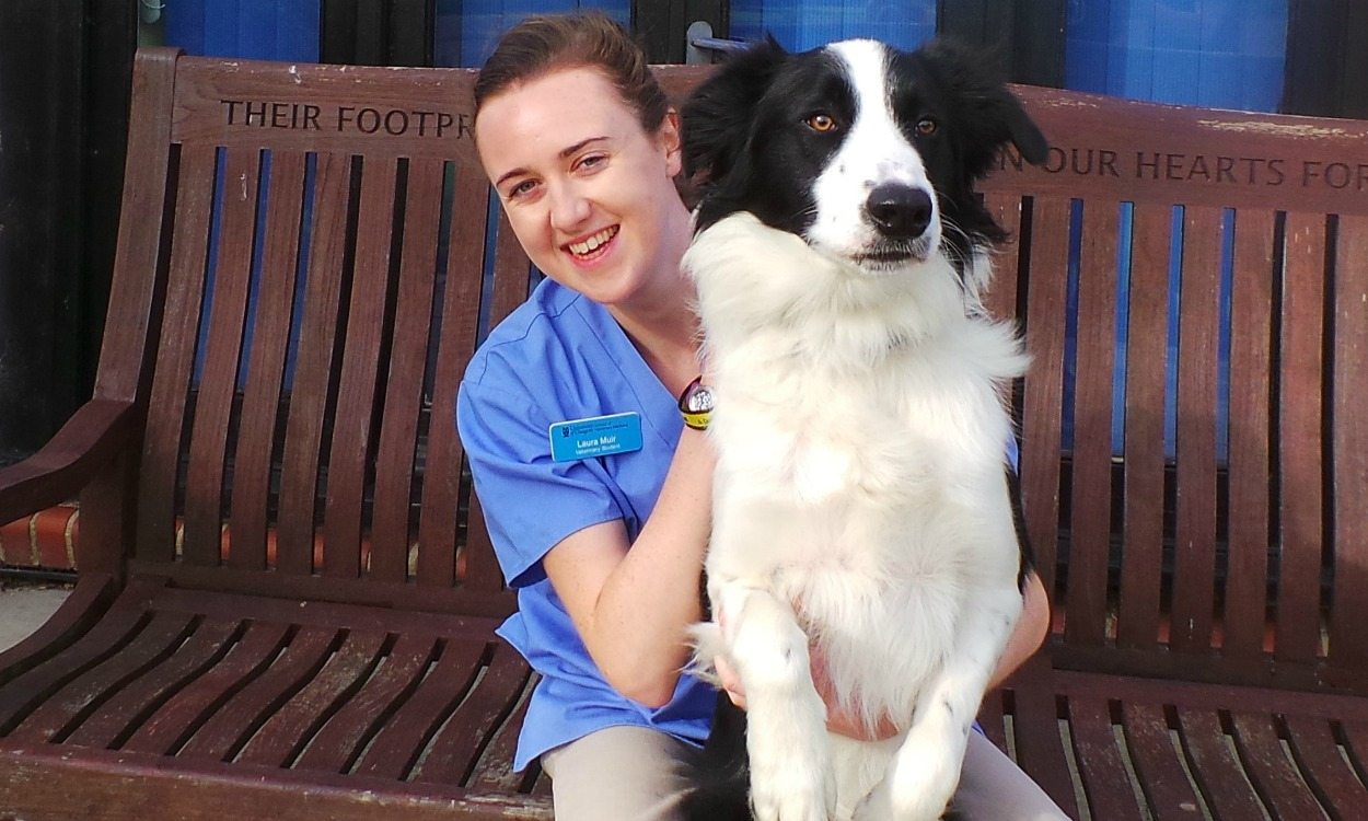 Laura Muir: From Diamond League to Dogs Trust - AW