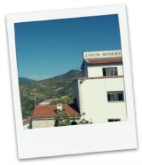 Linos winery