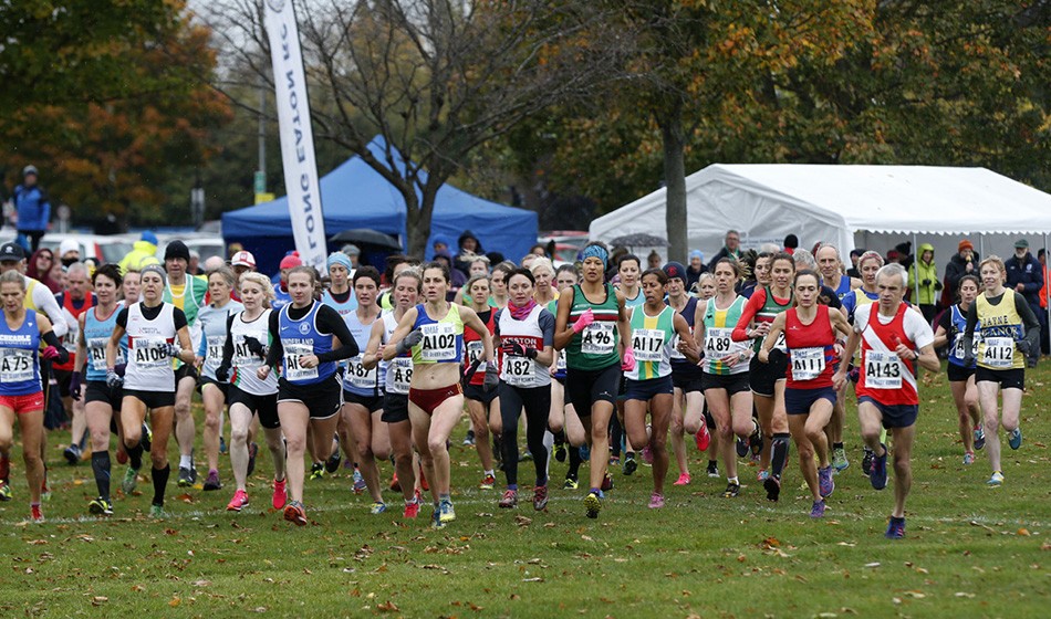 Titles shared at British Masters Cross Country Relays AW