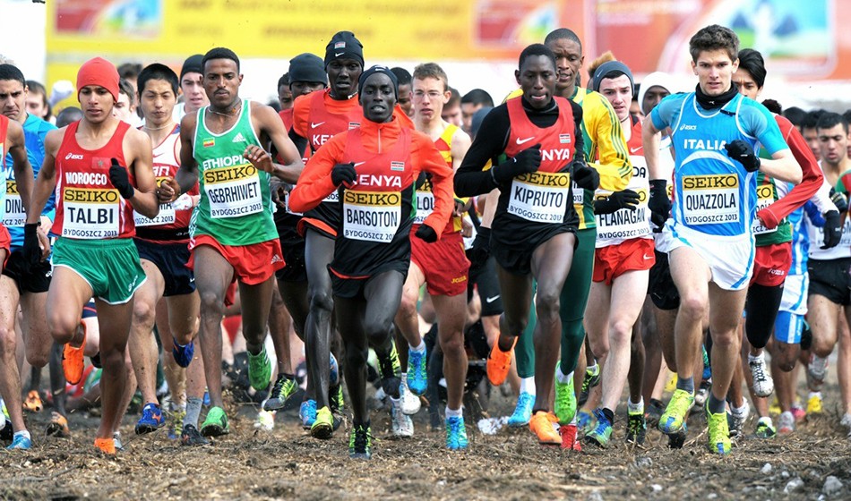Cross country proposed for Paris 2024 Olympics AW
