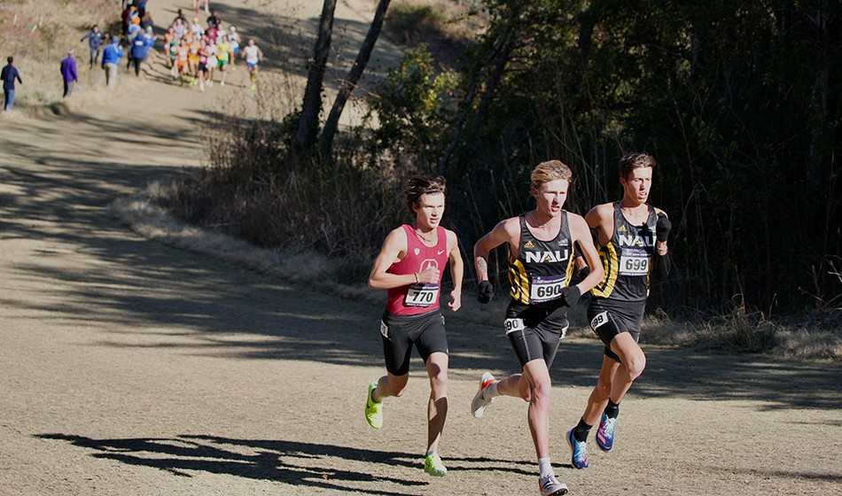 Charles Hicks wins NCAA crosscountry gold AW