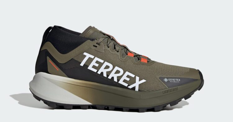 Adidas Terrex Agravic GTx