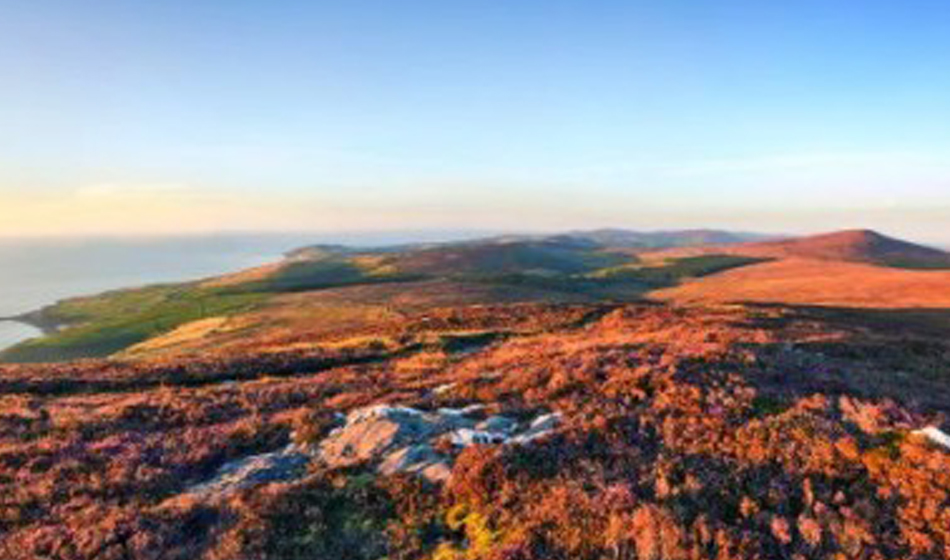 All the news from the Flutter International Hospice Half Marathon, Isle of Man